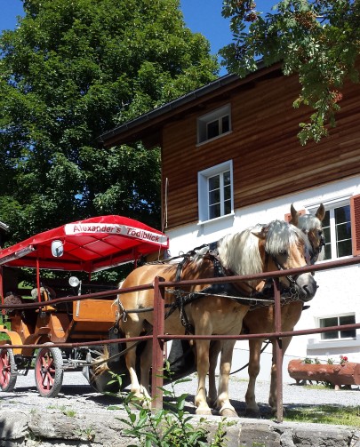 horse-wagon-braunwald